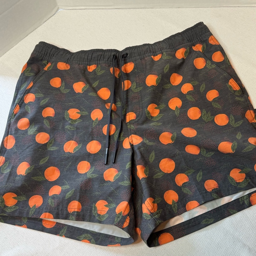 Alpine Design Men's Short Swim Trunk Shorts w/Oranges, Medium, Charcoal Gray